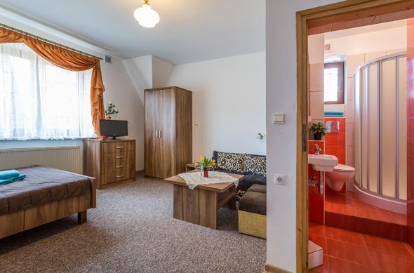 Apartamenty i Pokoje Gościnne DZIEDZIC Józef Suche Zewnętrze zdjęcie